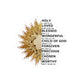 You Are Bible Verse Sticker, Catholic Monstrance Decal