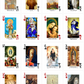Titles of Mary Catholic Playing Cards